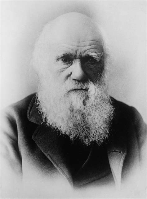 Darwin .